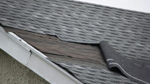 shingle damage and roof damage showing signs that you need a new roof